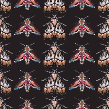 böcekler, vektör çizim ile siyah arka plan