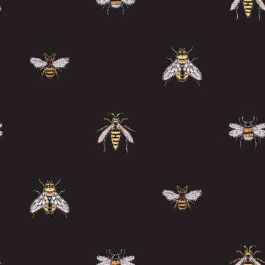 böcekler, vektör çizim ile siyah arka plan