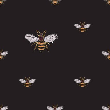 böcekler, vektör çizim ile siyah arka plan