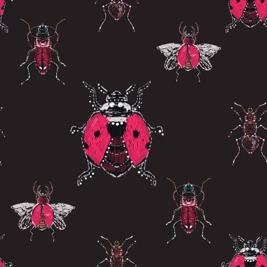 böcekler, vektör çizim ile siyah arka plan
