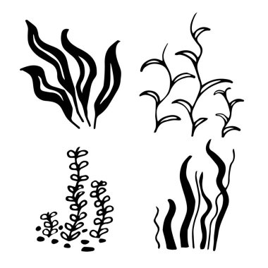 Senin için büyük deniz seti.