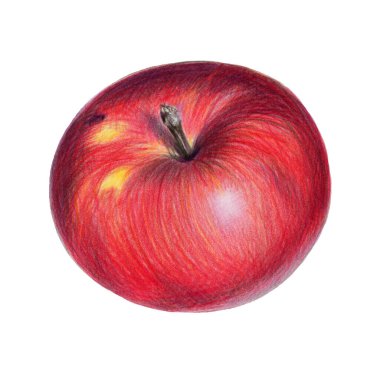 Beyaz arkaplanda kırmızı elma