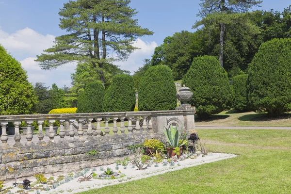 Landscaped English garden with mature trees, yew topiary on a sunny summer day .