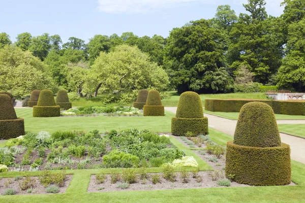 Zomertuin Met Kruid Bloem Versteld Fruitbomen Sier Topiary Gevormde Struiken — Stockfoto