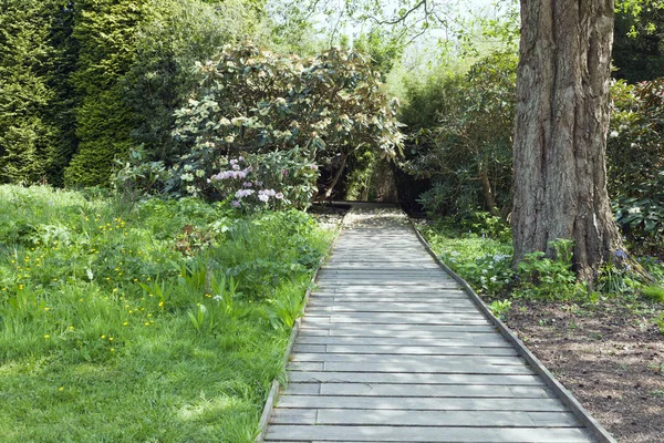 Wooden Footbridge Wildflower Meadow Bushy Garden — Stock Photo, Image