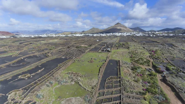 Luftaufnahme Über Fruchtbare Felder Auf Vulkanischem Felsen Mit Einem Vulkan — Stockfoto