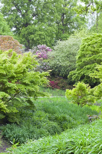 Primavera Exuberante Escena Jardín Con Arbustos Árboles Flor —  Fotos de Stock