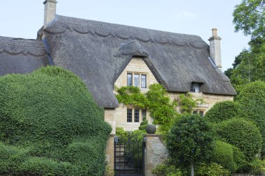 Wisteria duvar, bahçevan çalılar ve ağaçlar bir güneşli yaz gününde ön bahçe ile kırsal Cotswold kırsal İngilizce yazlık thatched çatı çekici .