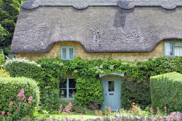 Traditional English stone cottage, with thatched roof, blue wooden doors, hydrangea climbing the wall, trimmed hedge, flowers in bloom, in Cotswolds village, on a sunny summer day .