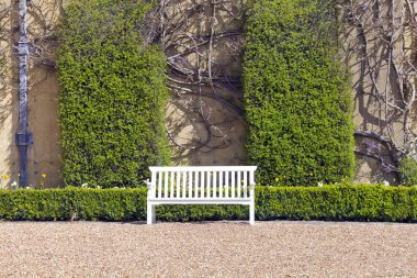 Bir yaz Ingiliz bahçesinde yeşil hedge tarafından zarif ahşap beyaz tezgah.