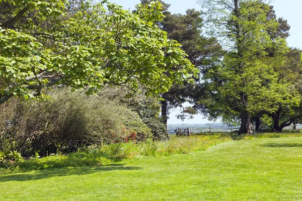 Солнечный Весенний Парк Цветущими Сугробами Молодыми Лиственными Деревьями Кустарником Сельской — стоковое фото