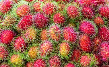 Mavi sepetteki birçok kırmızı rambutanı kapatın. Rambutan tatlı lezzetli meyveler. Taze Tayland Rambutanlarının geçmişi. kırmızı ve yeşil.