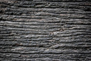 Kahverengi kabuğun kabartmalı dokusu. Ağaç kabuğu dokusu. Kusursuz ağaç kabuğu dokusu. doğal arkaplan olarak ağaç kabuğu kullanımı dokusu