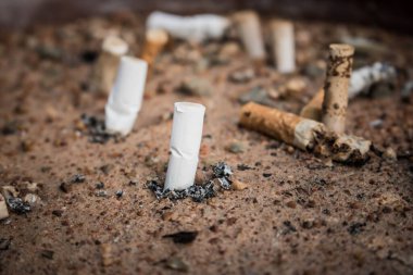 Sarı kumda sigara izmaritleri. İnsanlık sorunu. Sigara içmek, kötü alışkanlık. Nikotin bağımlılığı. Çöp. Eski tarz.