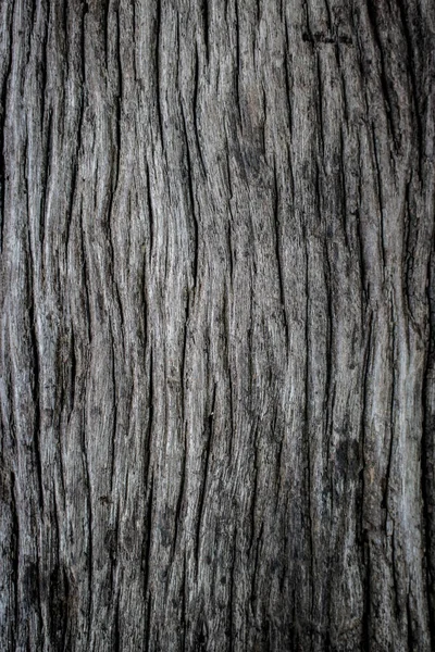 Textura Relieve Corteza Marrón Textura Corteza Árbol Textura Árbol Corteza — Foto de Stock