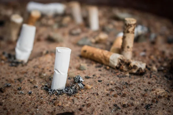 Сигаретные Окурки Желтом Песке Проблема Человечества Курение Сигарет Плохая Привычка Стоковая Картинка