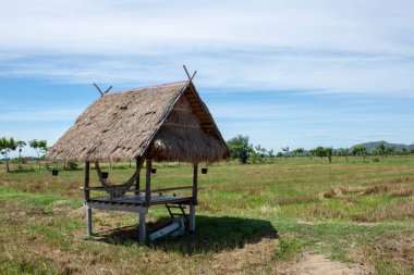 Yeşil çeltik tarlaları, güzel gündoğumu arka planı, pirinç terasları ve orta kır evleri olan harika bir manzara..