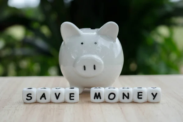 Snijd Het Woord Sparen Geld Spaarvarken Geld Besparen Munten Blok — Stockfoto