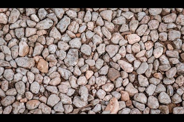Ground stone grey background of many small stones. Rock texture background..