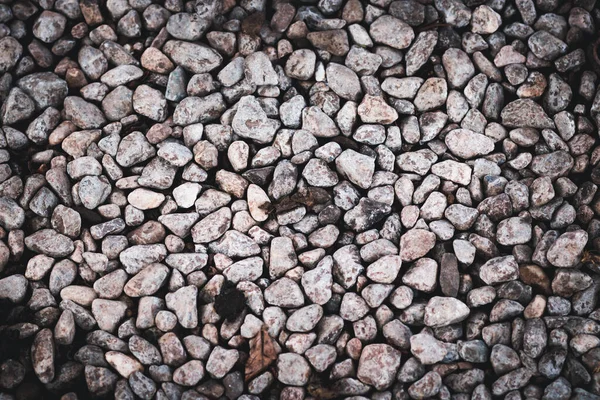 Fondo Gris Piedra Tierra Muchas Piedras Pequeñas Fondo Textura Roca — Foto de Stock