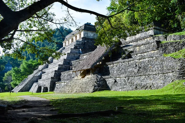 Pirâmide Maia Palenque Meio Selva — Fotografia de Stock