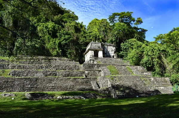 Edifícios Antigos Maias Local Palenque — Fotografia de Stock