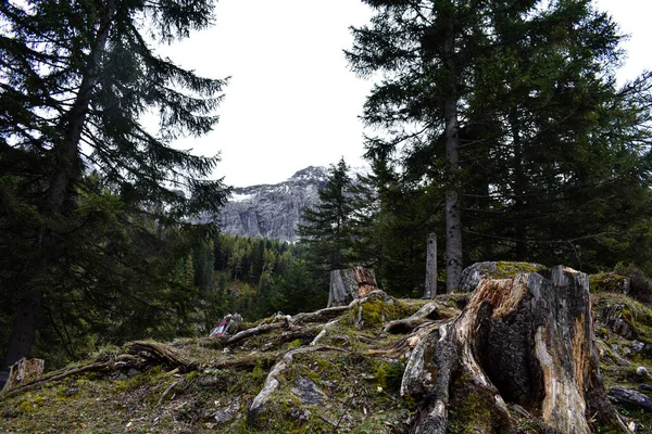 Krajobraz Górski Alpach Austriackich — Zdjęcie stockowe