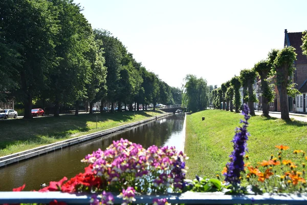 Friedrichstadt Germany June 2020 Beautiful Flowers Canal Friedrichstadt — Stock Photo, Image