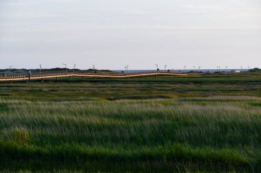 St. Peter rıhtımında Akşam güneşinin altında