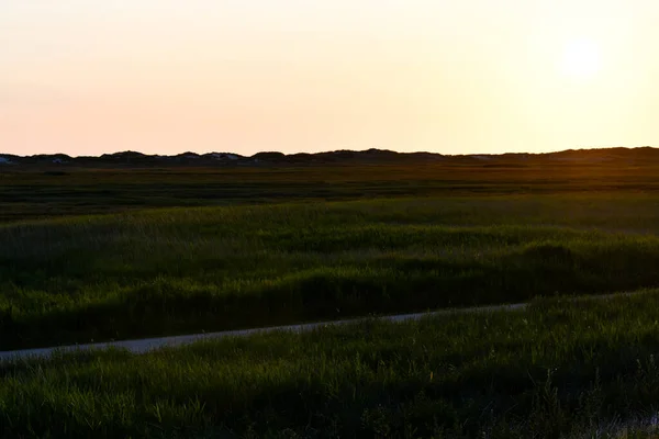 Dunová Krajina Peter Ording Zapadajícím Sluncem — Stock fotografie