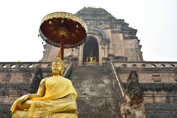 Ένα Χρυσό Βούδα Μπροστά Από Ναό Wat Chedi Luang — Φωτογραφία Αρχείου