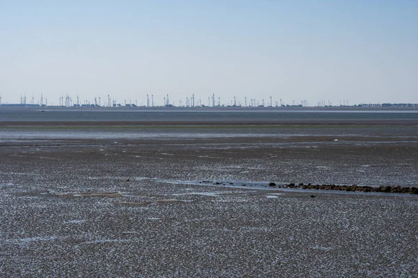 Das Wattenmeer Büsum Mit Einem Windpark Hintergrund — Stockfoto