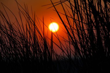 St. Peter 'da gün batımı Kum çimleri ile sipariş