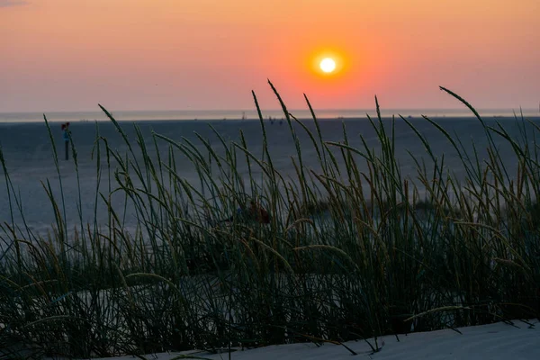 Заходящее Солнце Дюнах Святого Петра Ординг — стоковое фото