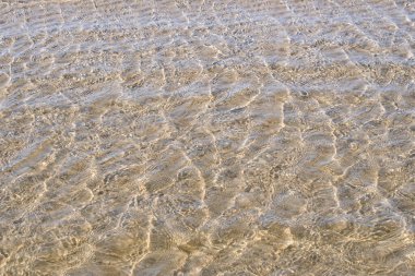 St. Peter Tarikatı 'nda Kuzey Denizi' nin berrak suları