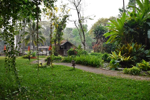Tempat Lampang River Lodge — Stok Foto