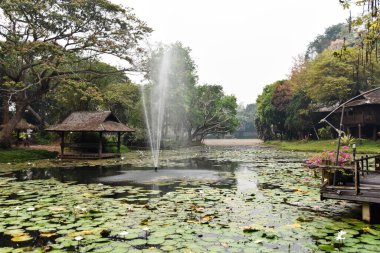 Tayland 'daki Lampang nehri pansiyonunda.