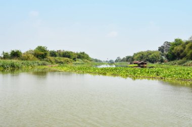 Tayland 'da su bitkileri ve küçük evleri olan bir nehir.