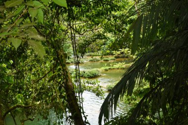 Meksika 'daki Welib-Ha şelaleleri.