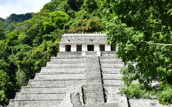 Pirâmide Maia Terreno Palenque — Fotografia de Stock