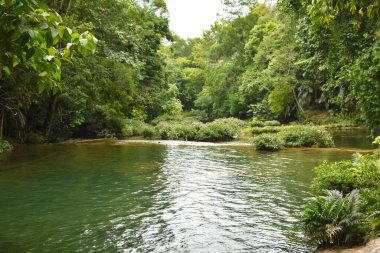 Meksika 'daki Walib Ha şelalesinde.