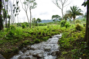 Meksika 'daki Walib Ha şelalesinde.