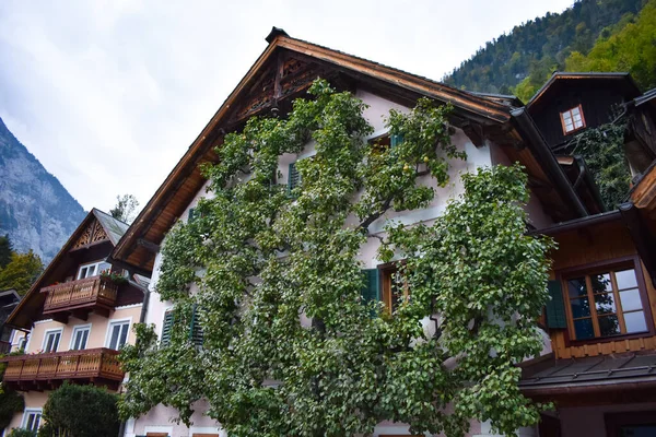 Tradycyjne Domy Austriackie Górami Tle — Zdjęcie stockowe
