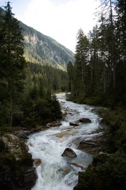 Untersulzbach nehri ormanın içinden geçiyor.