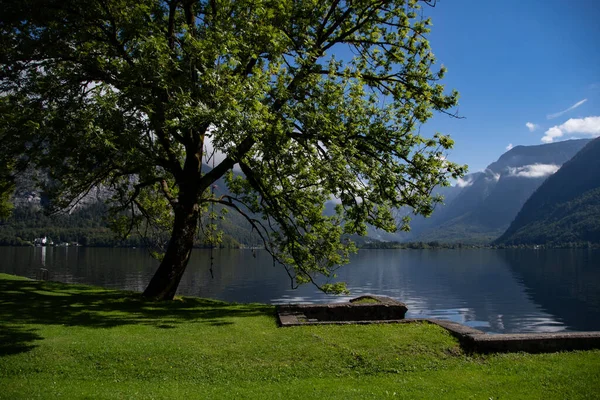 Imagem Verão Idílica Com Lago Balnear Uma Árvore Montanhas — Fotografia de Stock