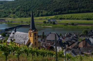 Moselle manzarası, üzüm bağları ve küçük Zeltingen-Rachtig kasabası.