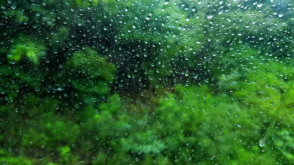 Cadute Pioggia Sul Parabrezza Della Macchina Fuori Verde Finestre Superficie — Foto Stock