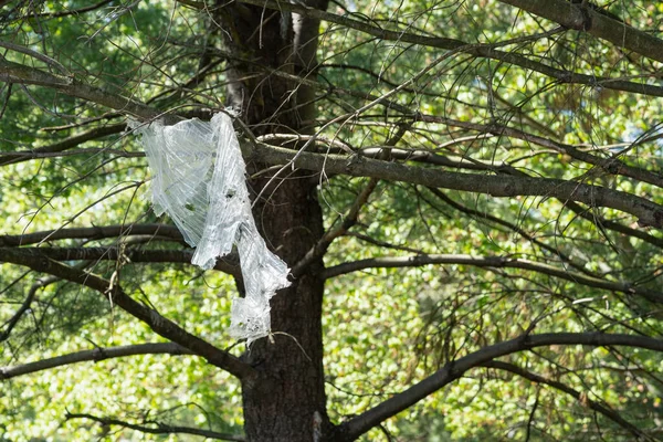 Weggeworfenes Plastik Das Ast Eines Baumes Hängt Verschmutzt Die Landschaft — Stockfoto