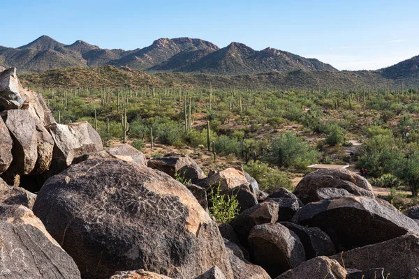 Petroglyphs Rocks Saguaro National Park Cactus Mountains Hiking Trail People — Stock Photo, Image