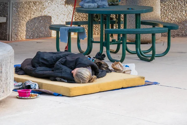 Tucson, AZ - 26 Kasım 2019: Köpeğiyle birlikte El Presidio Plaza 'da köpüklü bir levhada uyuyan evsiz..